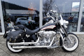 Used Softail Springer