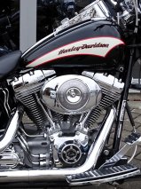 Used Bike Softail Springer