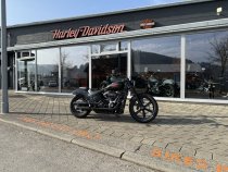 Gebrauchte Street Bob "Harley Quinn meets the Joker"