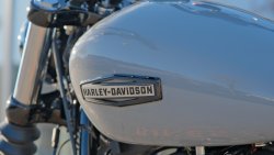 Gebrauchte Street Bob