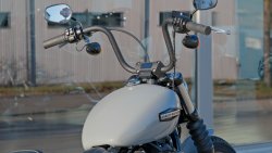 Gebrauchte Street Bob
