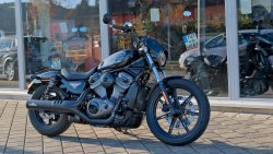 Gebrauchte Sportster Nighster