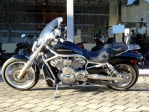 Used V-Rod VRSCA