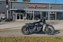 Gebrauchte Sportster Iron
