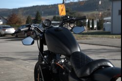 Gebrauchte Sportster Iron