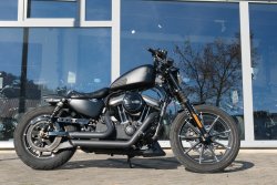 Gebrauchte Sportster Iron