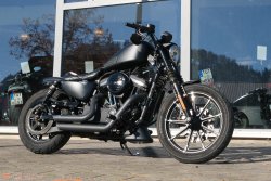 Gebrauchte Sportster Iron