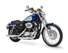 Harley-Davidson Sportster XL 1200 Custom Modelljahr 2010 <br><font size=-1>(Download per Mausklick rechts)</font>