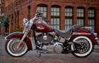 Softail Deluxe