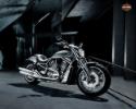 Harley-Davidson V-Rod 10th Anniversary Modelljahr 2012