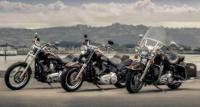 Harley-Davidson 110th. Anniversary Tankemblem