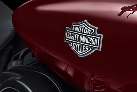 Street XG 750 / Neues Chrom-Tankemblem:    Ein Chromteil fllt an der neuen Harley-Davidson Street 750 besonders ins Auge - es ist das brandneue Harley-Davidson Tankemblem. Wo andere Hersteller einen Aufkleber anbringen, setzen wir auf ein dreidimensionales Stahl-Logo. Selbstverstndlich poliert, schlielich ziert es eine Premium-Maschine, mit der Sie durch die Straen der City cruisen.
