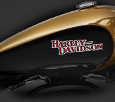 Sportster Super Low 1200 T / Walnut-Tank