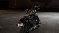 Sportster Forty-Eight Modell 2017 in Hard Candy Black Gold Flake