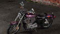 Sportster XL 883 SuperLow Modell 2017 in Hard Candy Mystic Purple Flake (2017 neu)