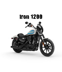 Harley-Davidson Sportster Sportster Iron 1200 Modelljahr 2019