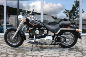 Used Bikes bei Harley-Davidson Tuttlingen / Motorrad-Matthies