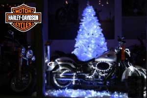 Angebote vor Weihnachten  bei Harley-Davisdon /
Motorrad-Matthies in Tuttlingen-Nendingen