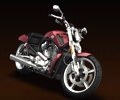 Mietmaschine V-Rod Muscle