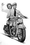 041_PAAR_AUF_PANHEAD
