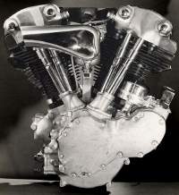 Knucklehead
