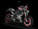 Buell  Lightning XB12Sscg 2008