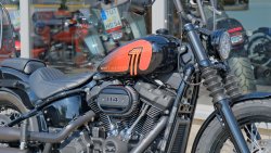 Used Softail Street Bob