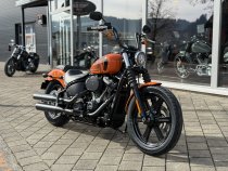 Gebrauchte Street Bob