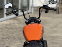 Gebrauchte Street Bob