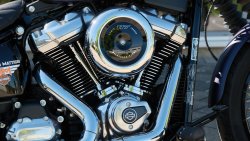Used Softail Street Bob
