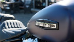 Used Softail Street Bob