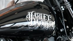 Gebrauchte Low Rider S