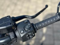 Gebrauchte Sportster Nightster Special