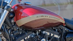 Gebrauchte XL 1200 Custom