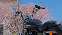 Gebrauchte Sportster 1200 Custom B