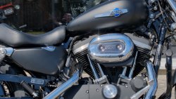 Gebrauchte Sportster 1200 Custom B