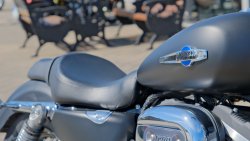 Gebrauchte Sportster 1200 Custom B