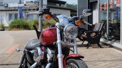 Used Sportster 883 Custom