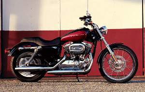 XL1200C Sportster 1200 Custom (2005)