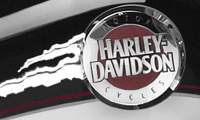  Harley-Davidson Custom Bikes 2006