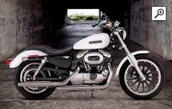 Sportster  XL1200 Low 2006