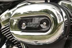 Sportster  XL1200 Low 2006