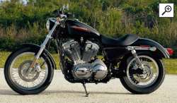 Sportster XL 883 2006