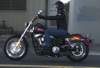 Harley-Davidson FXDB Dyna Street Bob 2008