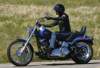 Harley-Davidson FXSTC Softail Custom 2008