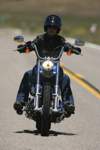 Harley-Davidson FXSTC Softail Custom 2008