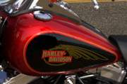 Harley-Davidson Softail Custom  2009