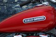 Harley-Davidson Sportster XL 1200 L Low  2009