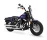 FLSTSB Softail Cross Bones