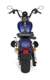 FLSTSB Softail Cross Bones